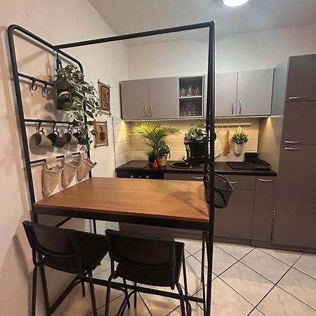 Studio Lucica Petrovac Luaran gambar