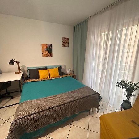 Studio Lucica Petrovac Luaran gambar