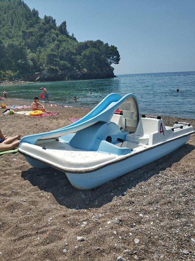 Studio Lucica Petrovac Luaran gambar