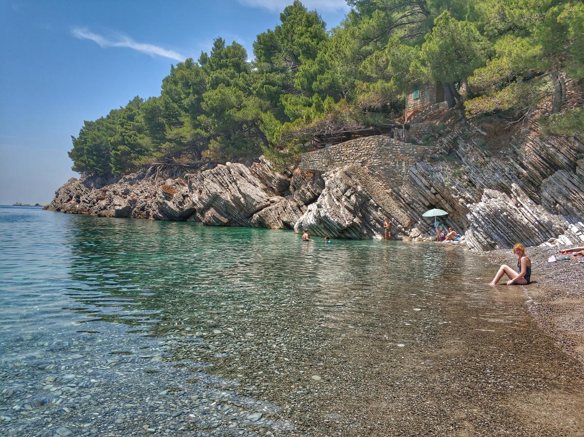 Studio Lucica Petrovac Luaran gambar